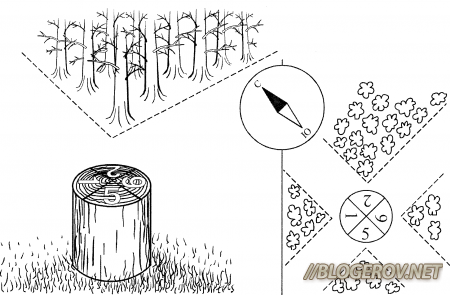 ÐÑÐ¾ÑÐµÐºÐ°